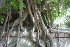 P1020690