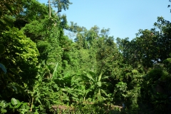P1020696
