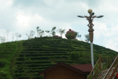 P1020716