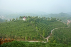 P1020722