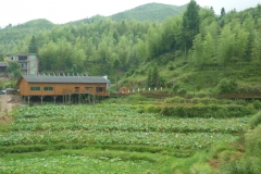 P1020741
