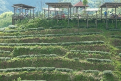 P1020749