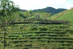 P1020756