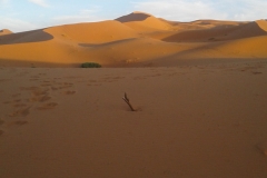 20171116_175246