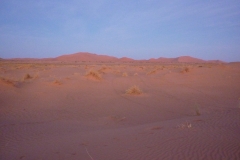 P1020850