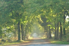 P1020367