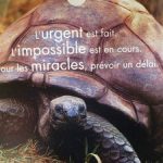 Une rentrée 2026 très riche!